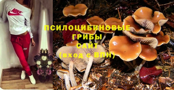 apvp Алексин